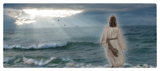 DNSEMP-L-123 Walking On Water